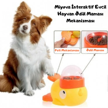 İnteraktif Evcil Hayvan Ödül Maması Mekanizması